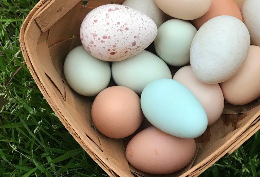 humidity for duck eggs