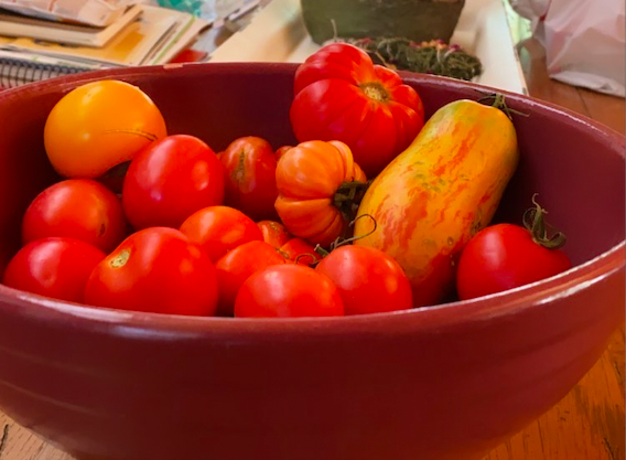 7 Tomato Varieties for Hot Climate Homesteads